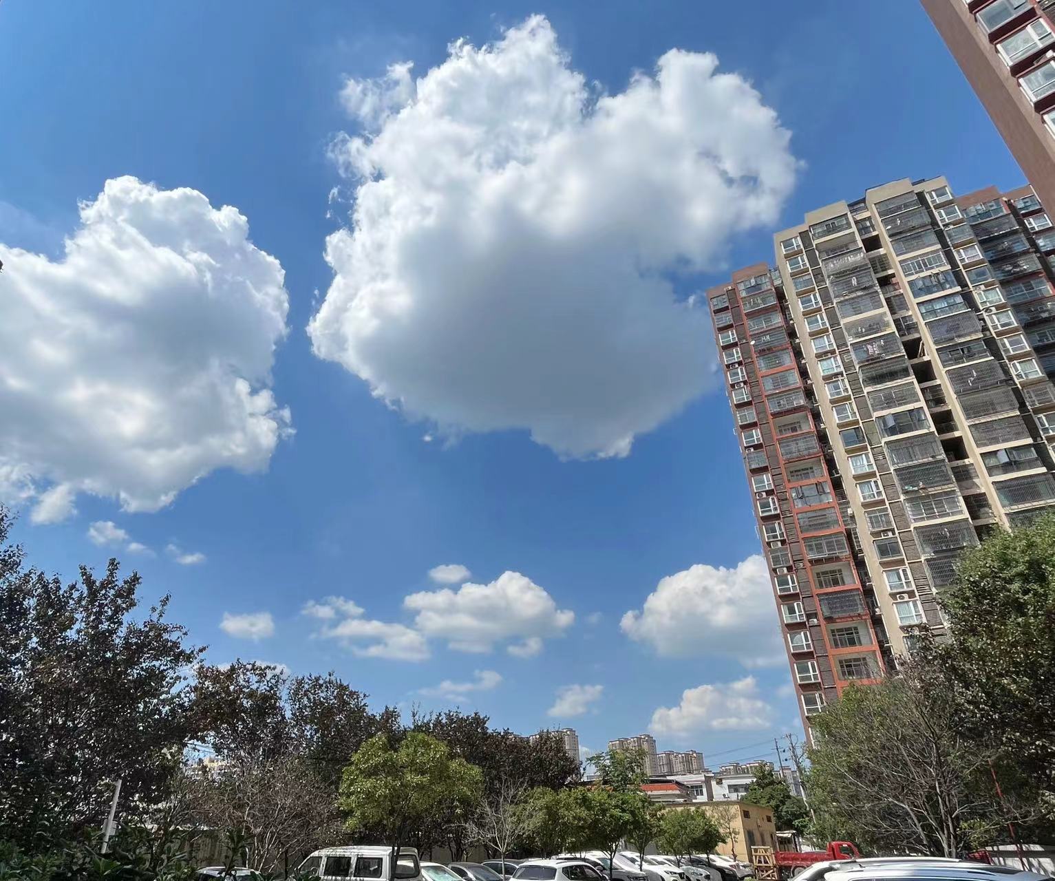 1dc8964d9f994e4bd884c64fb8fe35b.jpg 1dc8964d9f994e4bd884c64fb8fe35b.jpg